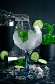 gin-tonic